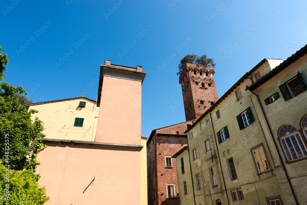 Torre dei Guinigi (Guinigi Tower) - Lucca, Tuscany, Italy