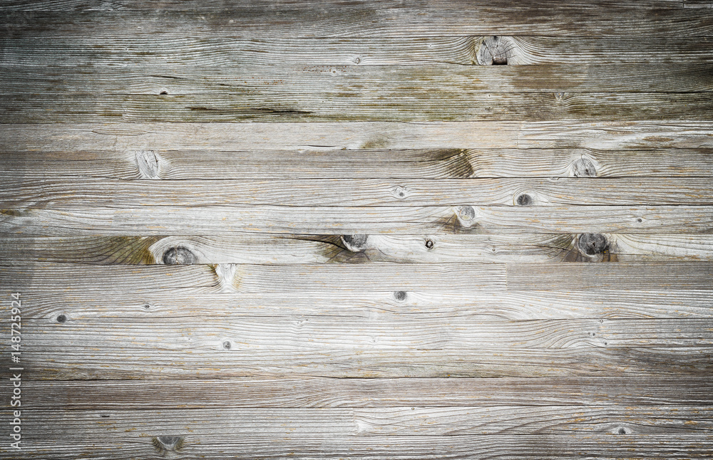 Fototapeta premium Wood texture