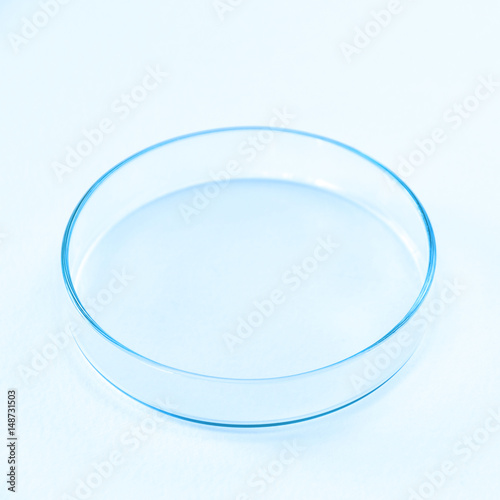Obraz na płótnie Petri Dish