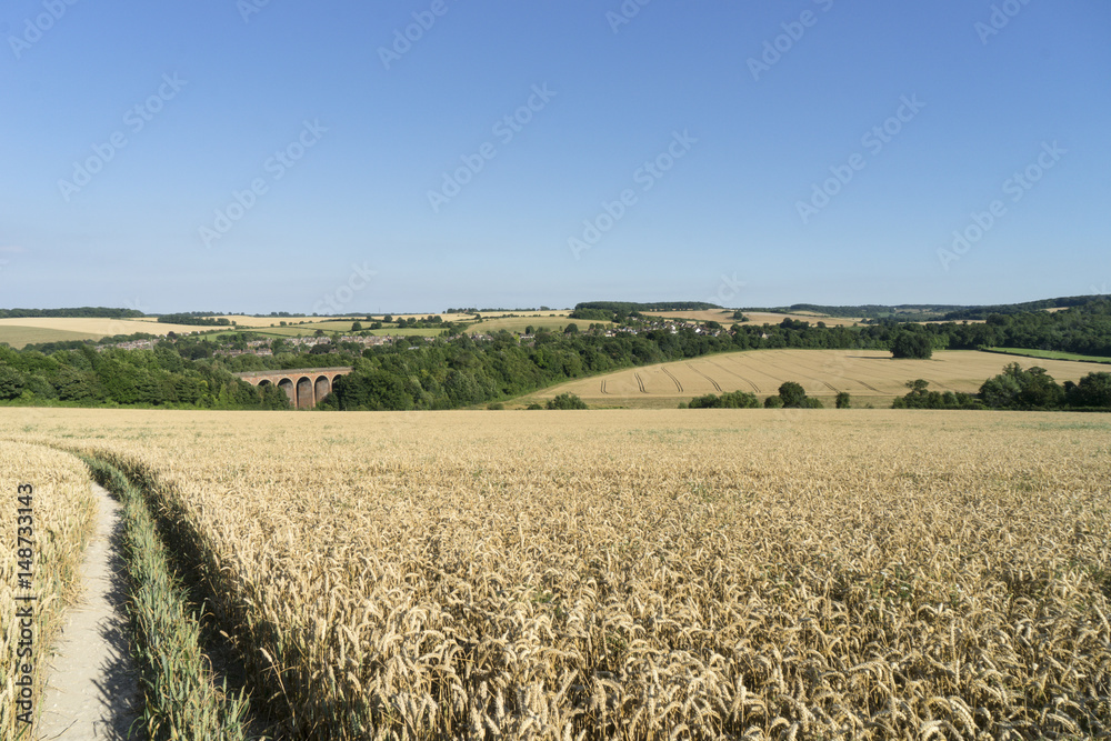 Golden wheat in field with viaduct in background.