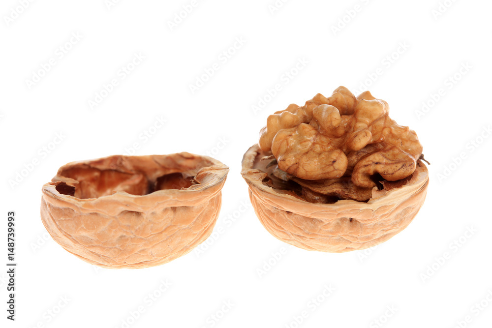 walnut walnut