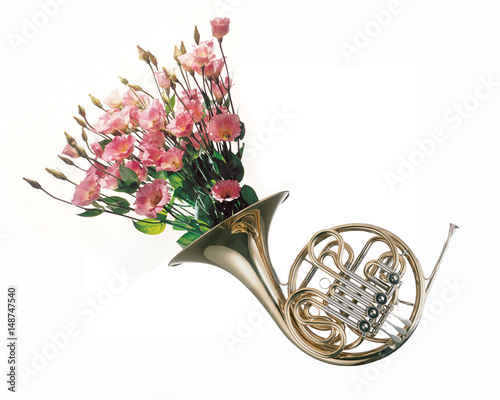 Flowers growing from French horn, creative photo.
