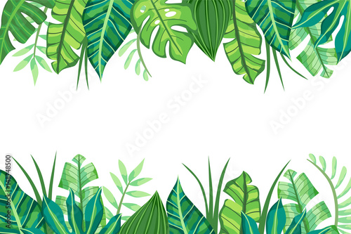 Isolated Tropical Background design. Vector illustration.