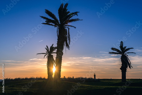 Evening in Porto, Portugal. View with palm tress and Felgueiras Lighthouse