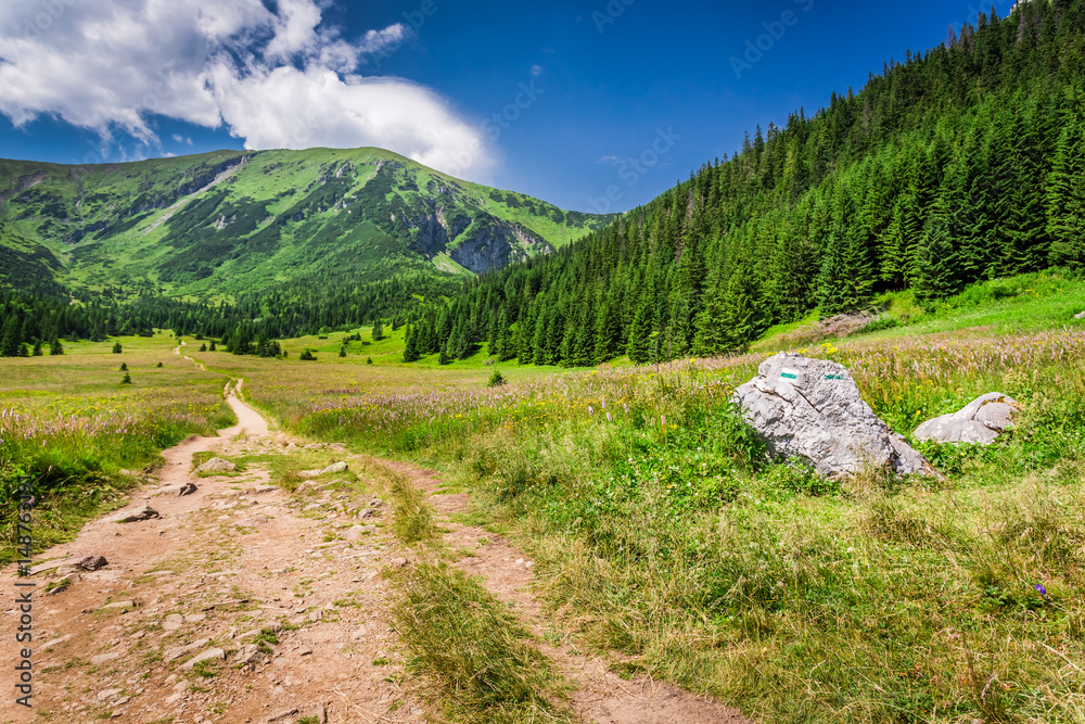 Fototapeta premium Trail in Tatras mountains in summer, Poland, Europe