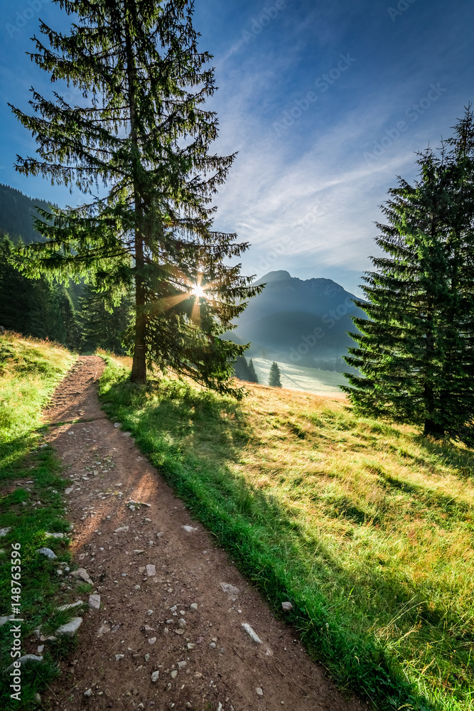 Obraz premium Wonderful path in Tatra Mountains at dawn, Poland, Europe