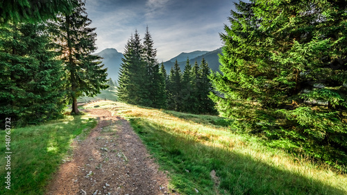 Fototapeta Naklejka Na Ścianę i Meble -  Wonderful valley in Tatra Mountains at dawn, Poland, Europe