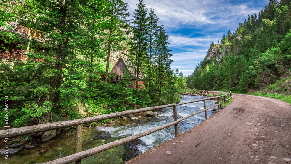 Mountain trail by the river in Tatras Mountains, Poland