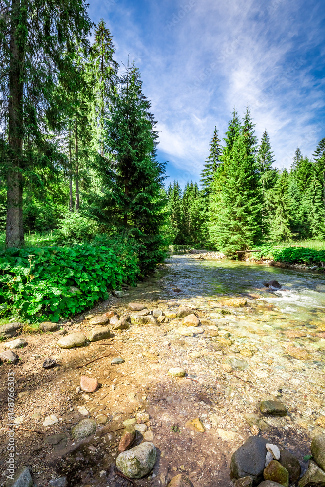 Fototapeta premium Mountain trail by the river in Tatras Mountains, Poland, Europe