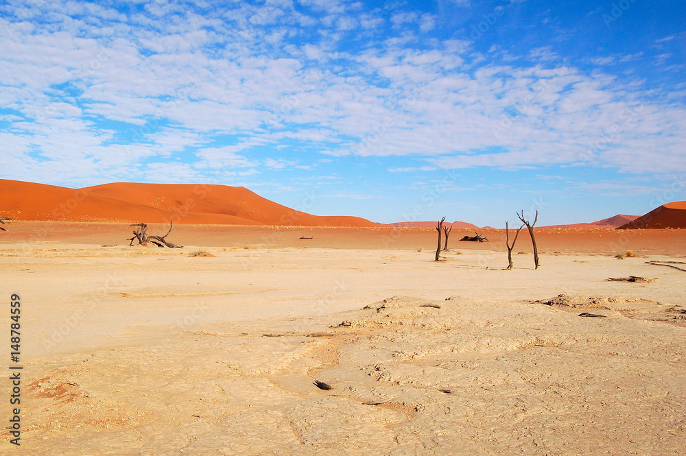 Amazing Dead Vlei in the Namib Desert in Namibia Amazing Dead Vlei in the Namib Desert in Namibia