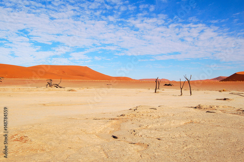 Amazing Dead Vlei in the Namib Desert in Namibia © Carina