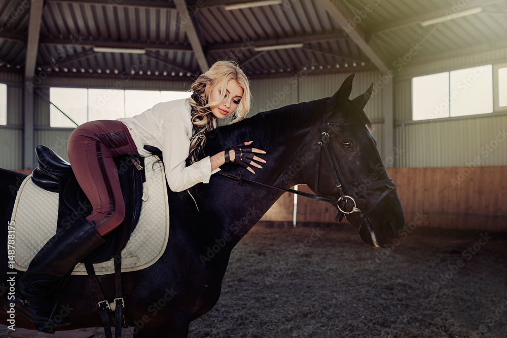 Beautiful elegant young blonde girl lies on a her black horse dressing uniform competition white blouse shirt and brown pants. Beautiful elegant young blonde girl lies on a her black horse dressing uniform competition white blouse shirt and brown pants.