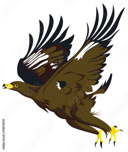 Aigle prenant son envol
