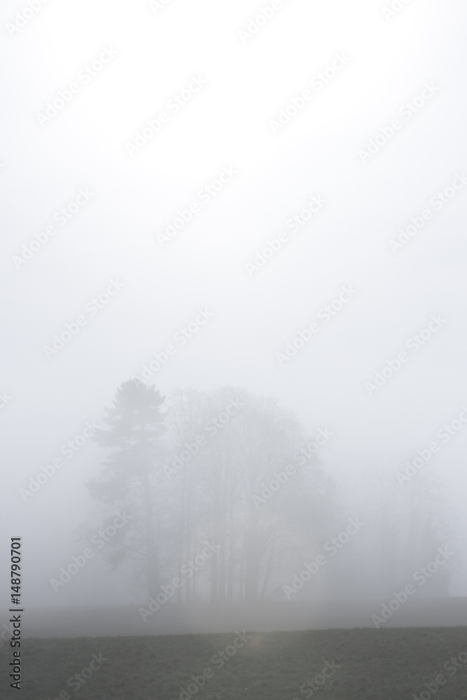 Sun trying to penetrate thick fog. Sun trying to penetrate thick fog.