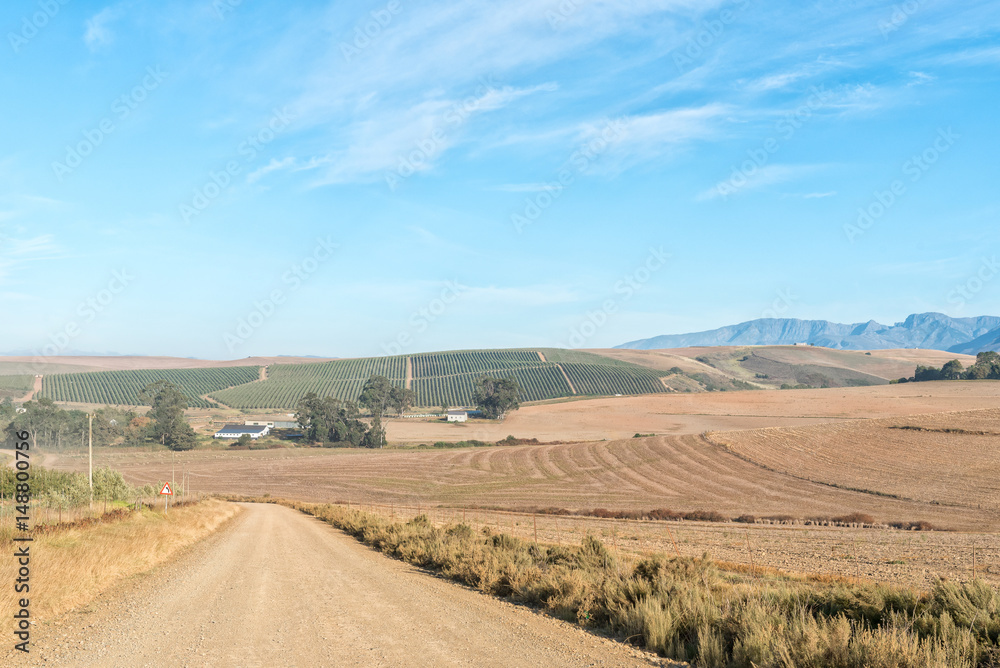 Farm landscape on the road between Riviersonderend town and Greyton Farm landscape on the road between Riviersonderend town and Greyton