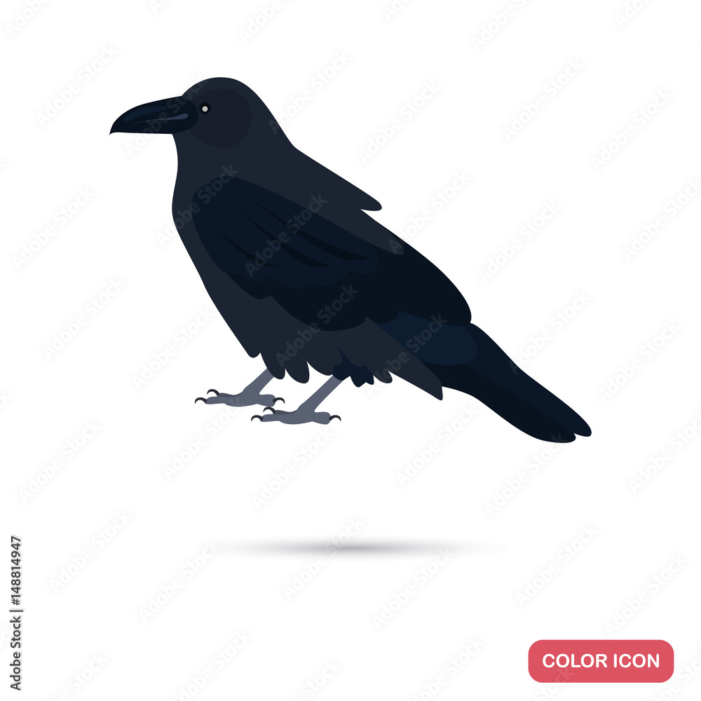 Fototapeta premium Crow color flat icon for web and mobile design