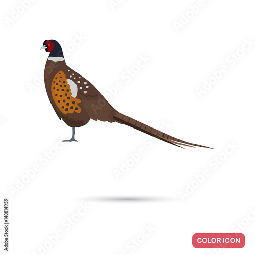 Pheasant color flat icon for web and mobile design
