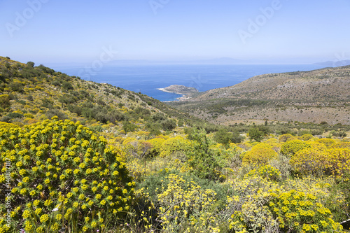 view over blue sea from flowering beautiful mani hills on peloponnese in spring