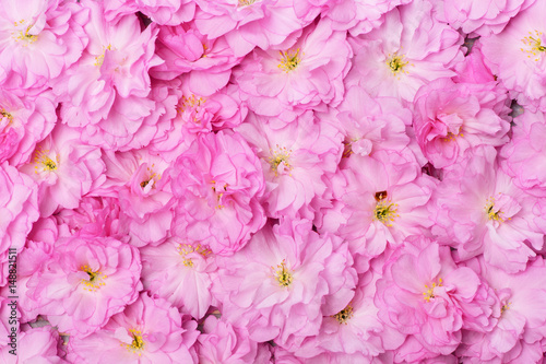 womens or mothers day, spring and summer, spa