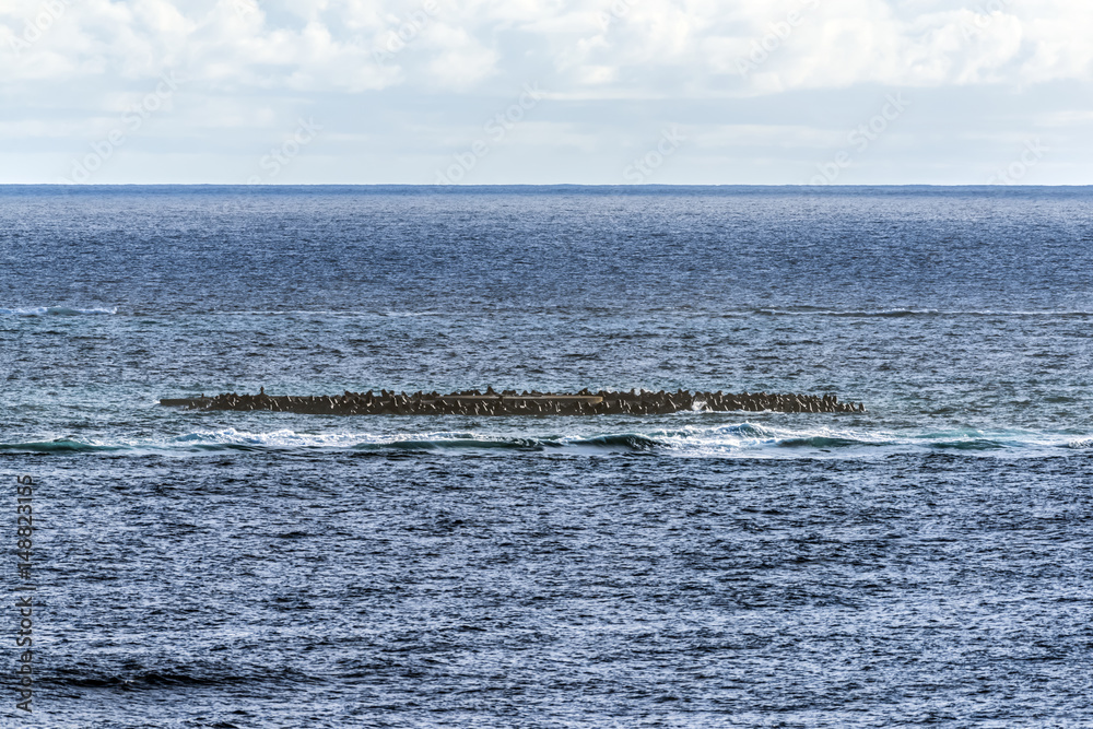 Obraz premium 沖ノ鳥島