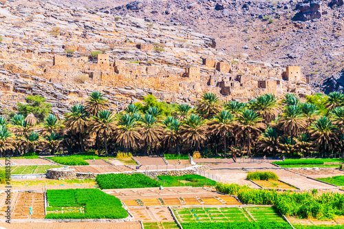 Abandoned village ruins of Riwaygh as-Safil with an oasis underneath on the road between Al Hambra and Jebel Shams, Sultanate of Oman photo