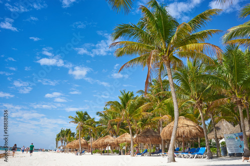 So called "Turtle Beach Akumal" in Mexico / Caribbean vacation at mexican tropical Beach in Quintana Roo