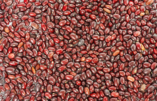 Red beans (Phaseolus, wild bean)