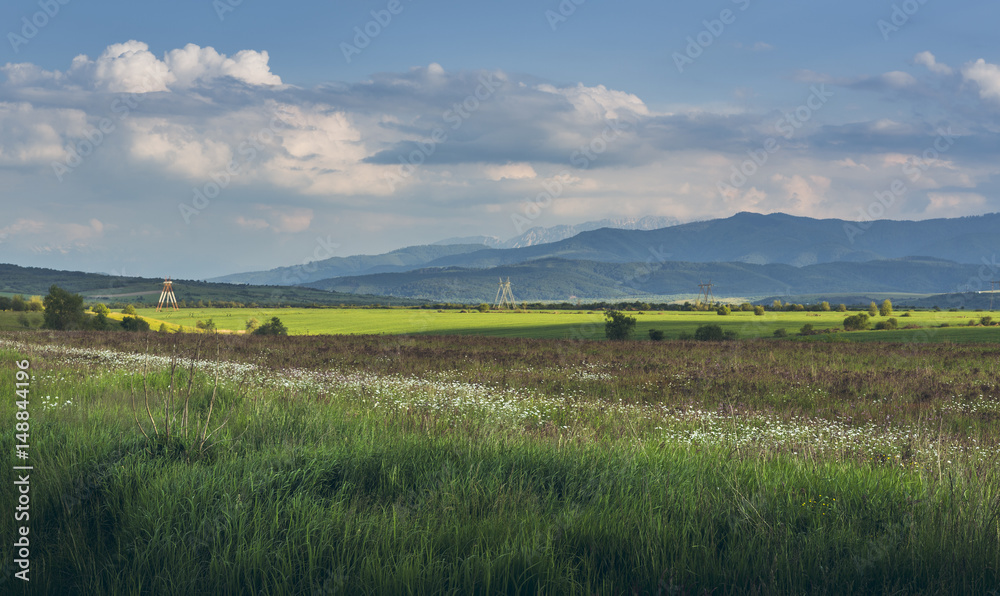Obraz premium Summer countryside landscape with uncultivated fields, grasslands or pastures in Transylvania region, near the Fagaras mountains, Romania.