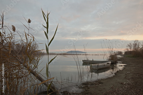 View of a lake shore  with a thin plant in the foreground and some little fishing boats  with warm and soft sunset colors