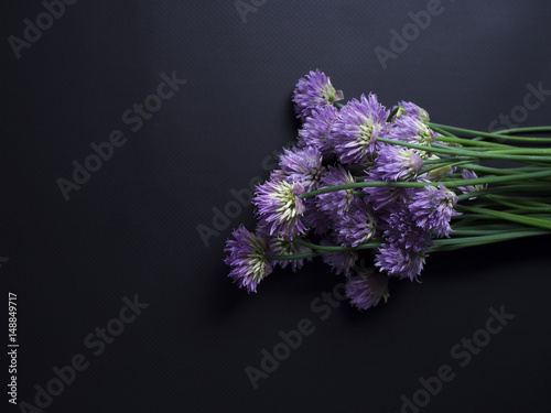 Freshly picked chives with purple flowers isolated on black background