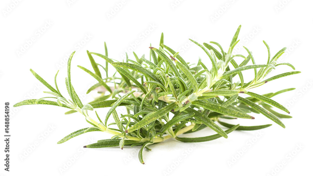 Rosemary (Rosmarinus officinalis) isolated on white Rosemary (Rosmarinus officinalis) isolated on white