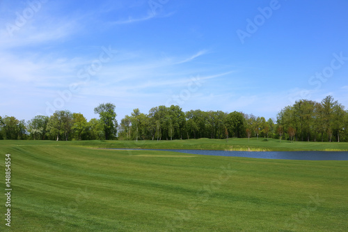 The golf course. Lawn with forest line and blue sky.