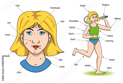 Description of the girl's head and body