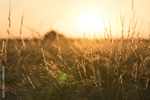 Isolated buildings with sun flare over grassy land.