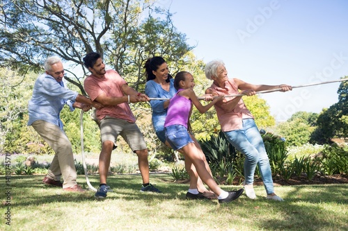 Family playing tug of war in the park photo