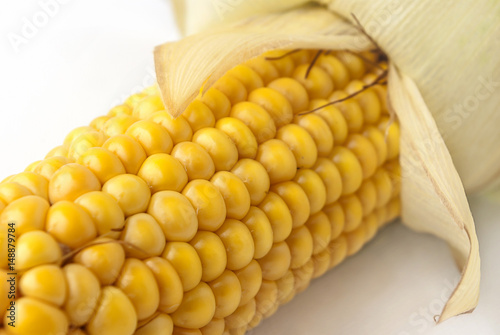 Corncob, maize, corn ear photo