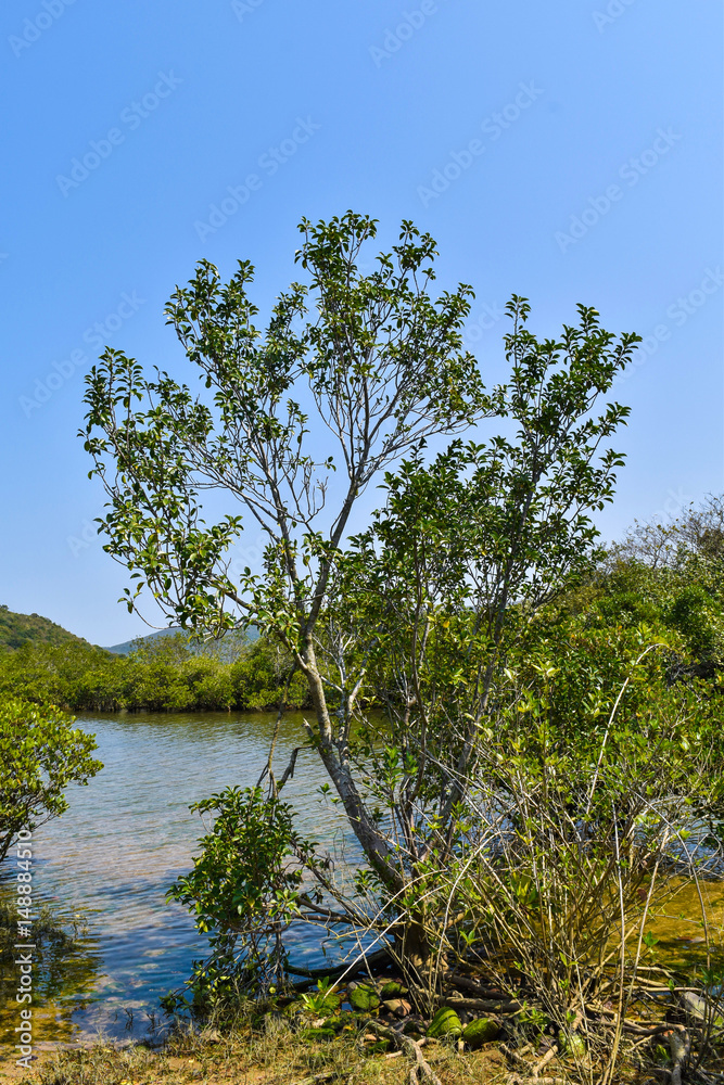 Obraz premium Moutain and lake