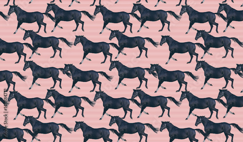 Horizontal pattern background with black horses.