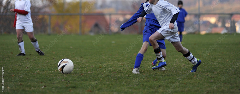 Fototapeta premium Zweikampf