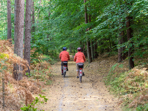 Fahrradtour durch den Wald
