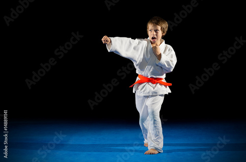 Little boy martial arts fighter
