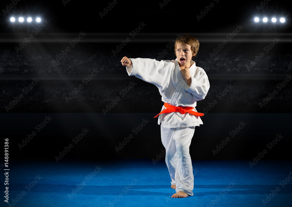 Little boy martial arts fighter Little boy martial arts fighter