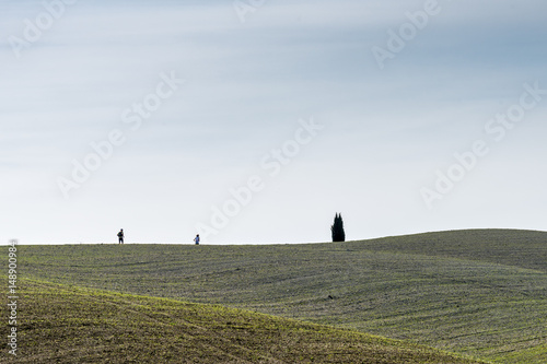 Wallpaper Mural toscana Torontodigital.ca