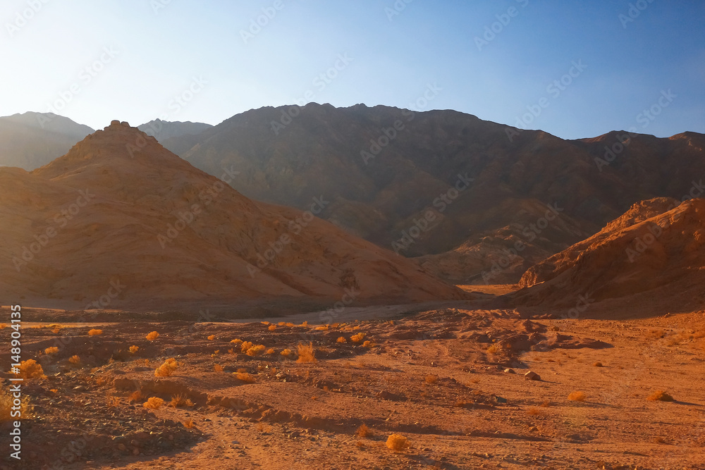 Sand mountains in the desert