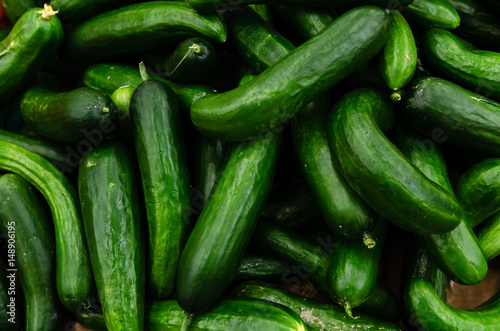 Fresh organic cucumbers sold on market