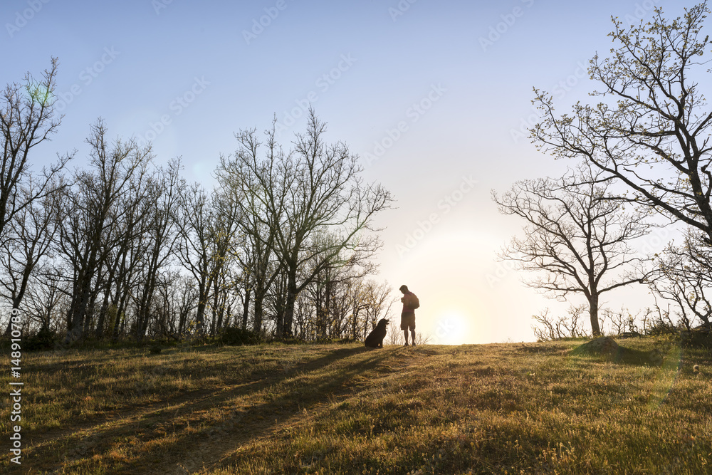 Young man walks on the field with his pet at sunset