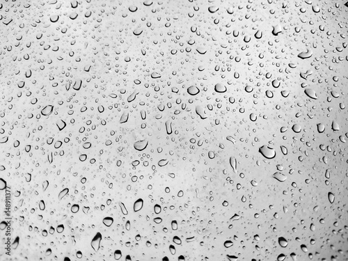 close up shot on droplets of the rain