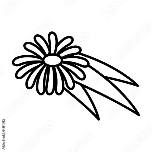 flower icon over white background. vector illustration