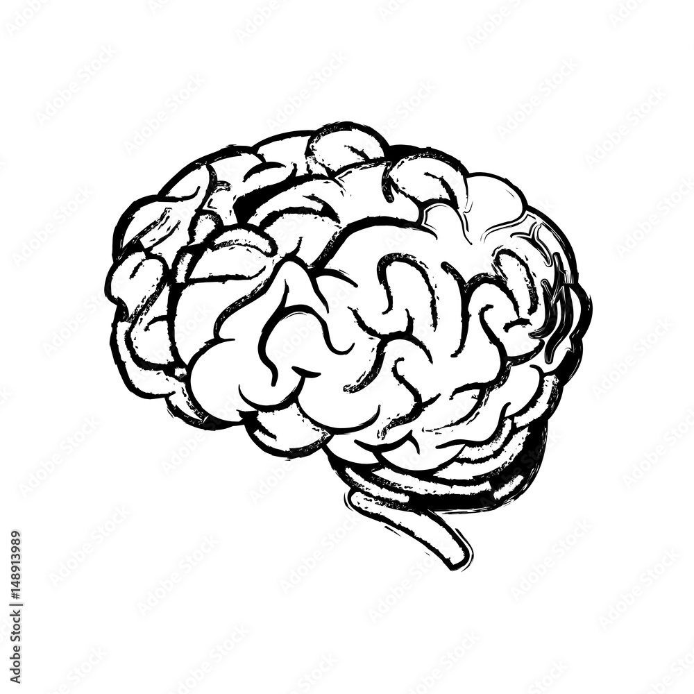 human brain icon over white background. vector illustration human brain icon over white background. vector illustration