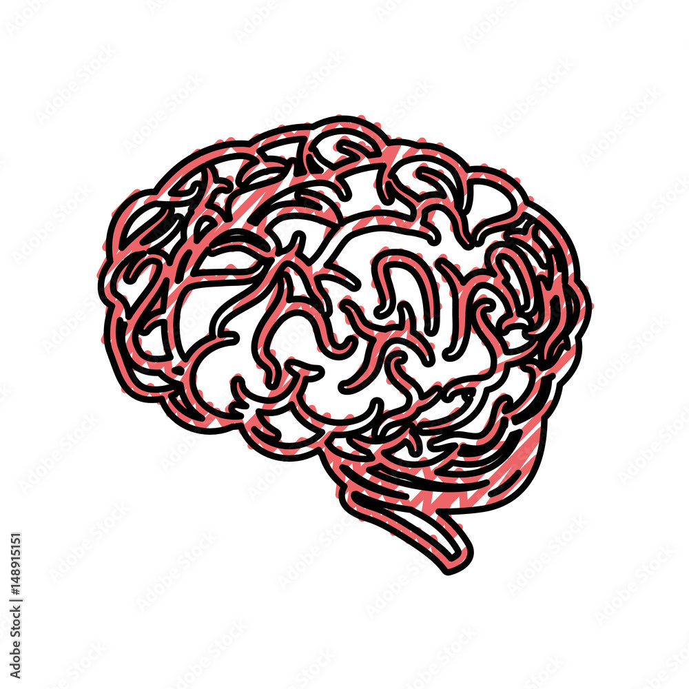 human brain icon over white background. colorful design. vector illustration human brain icon over white background. colorful design. vector illustration